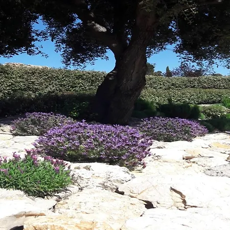 Luxury With Private Pool In 别墅