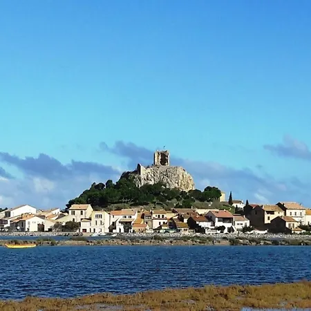 Luxury With Private Pool In 别墅 Cesseras